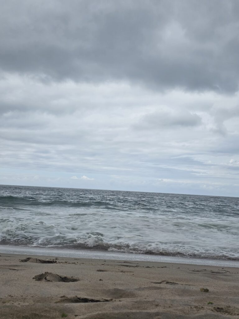 14.02.2026 Brasil (98)