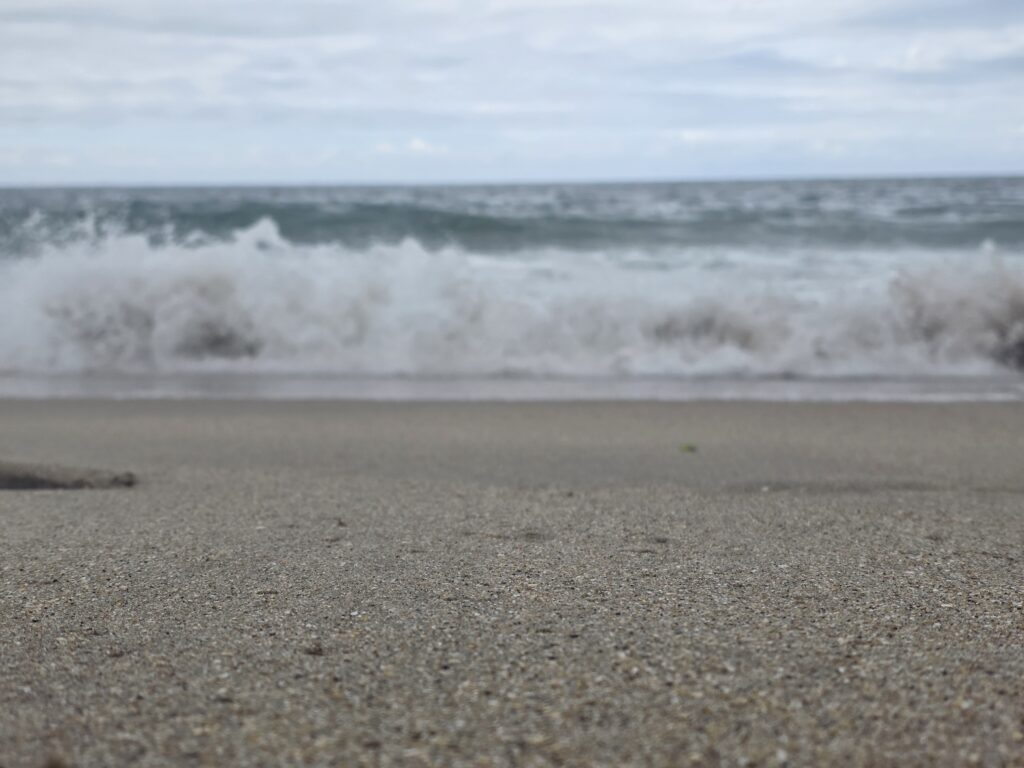 14.02.2026 Brasil (99)