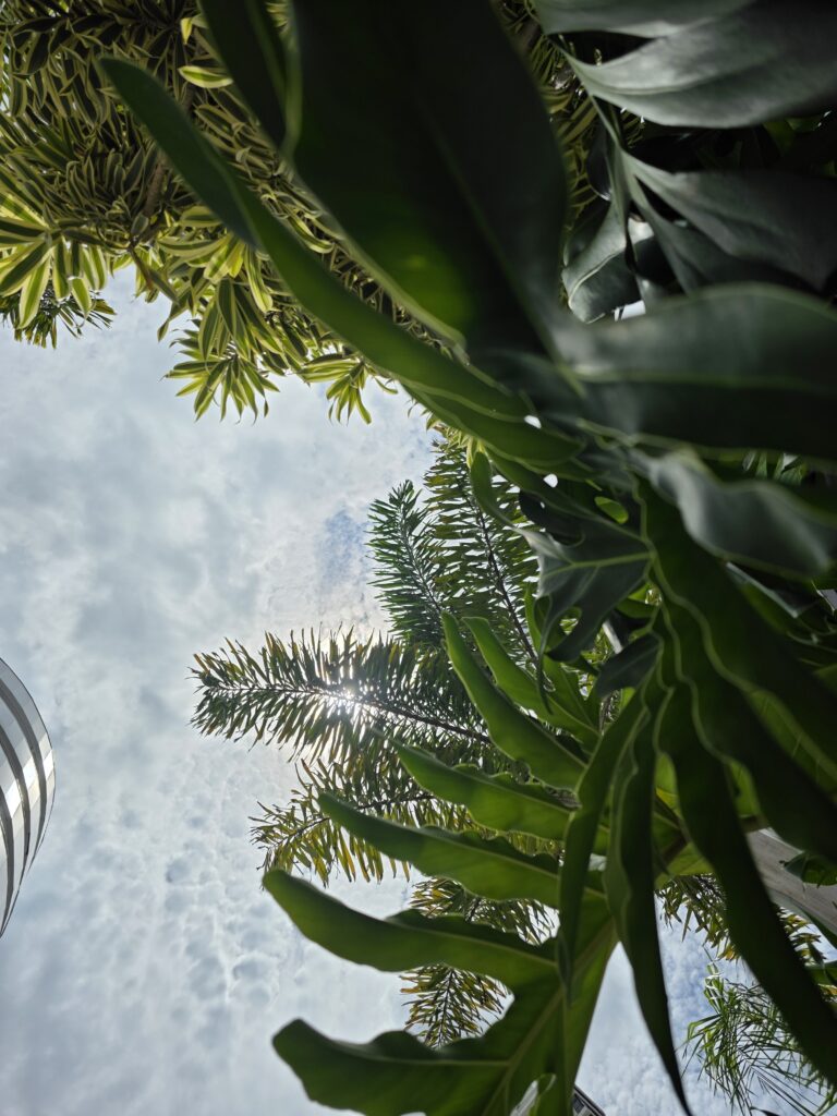 16.02.2026 Brasil (25)