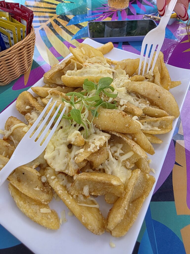 16.02.2026 Brasil (26)