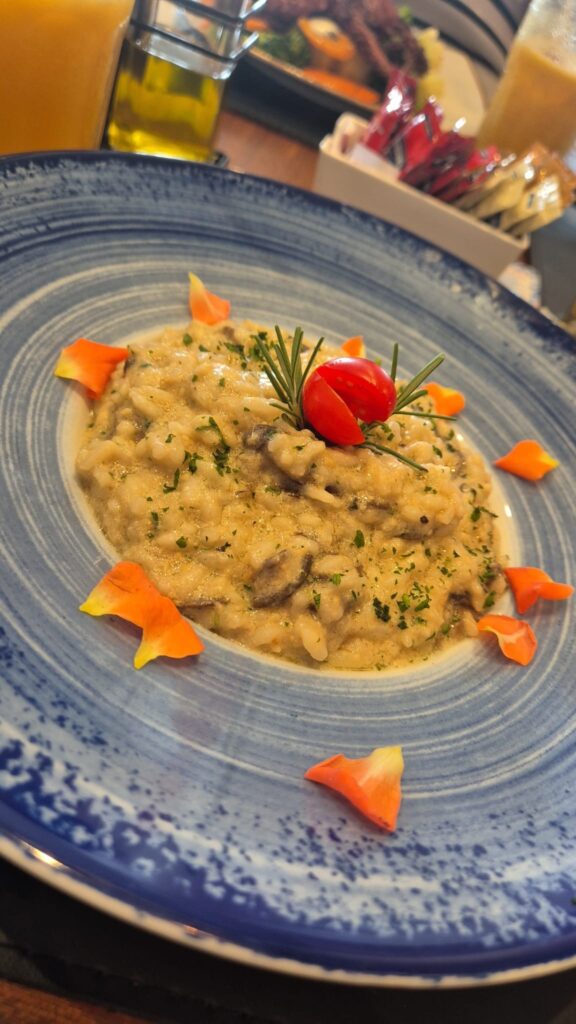 16.02.2026 Brasil (47)