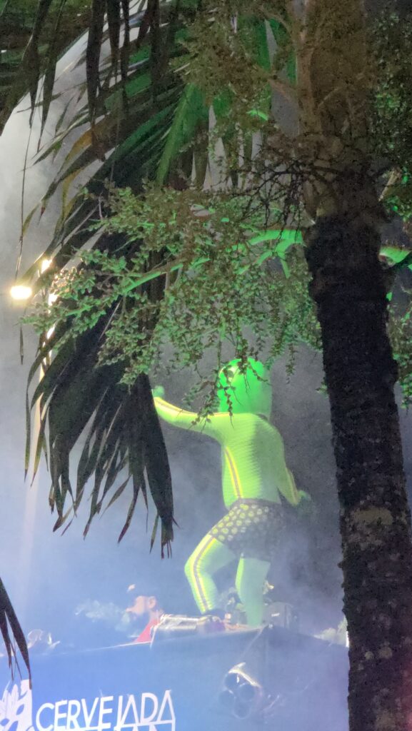 17.02.2026 Brasil (11)