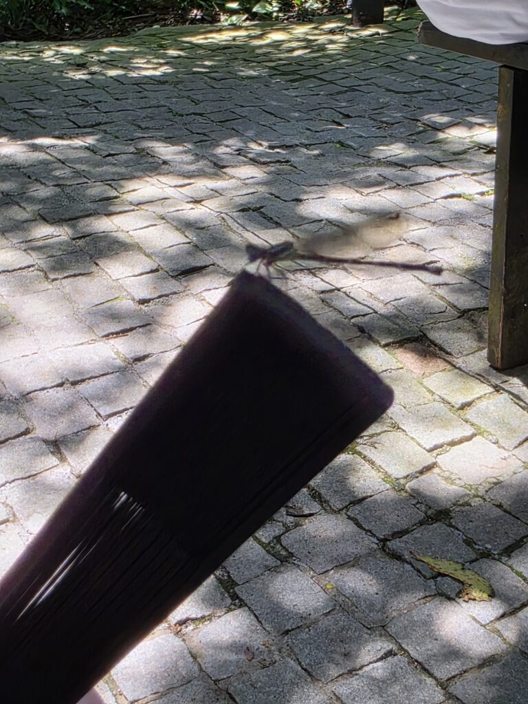 17.02.2026 Brasil (23)