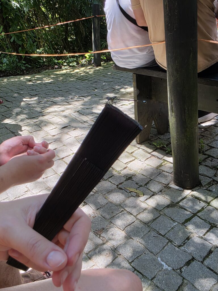 17.02.2026 Brasil (24)