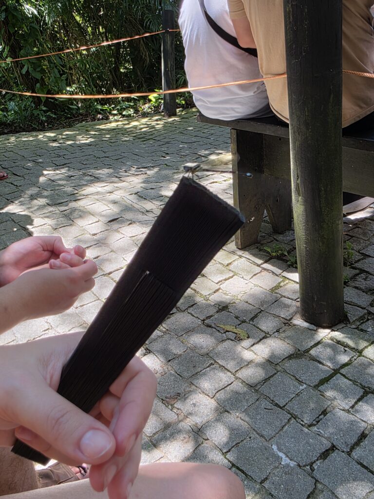 17.02.2026 Brasil (25)