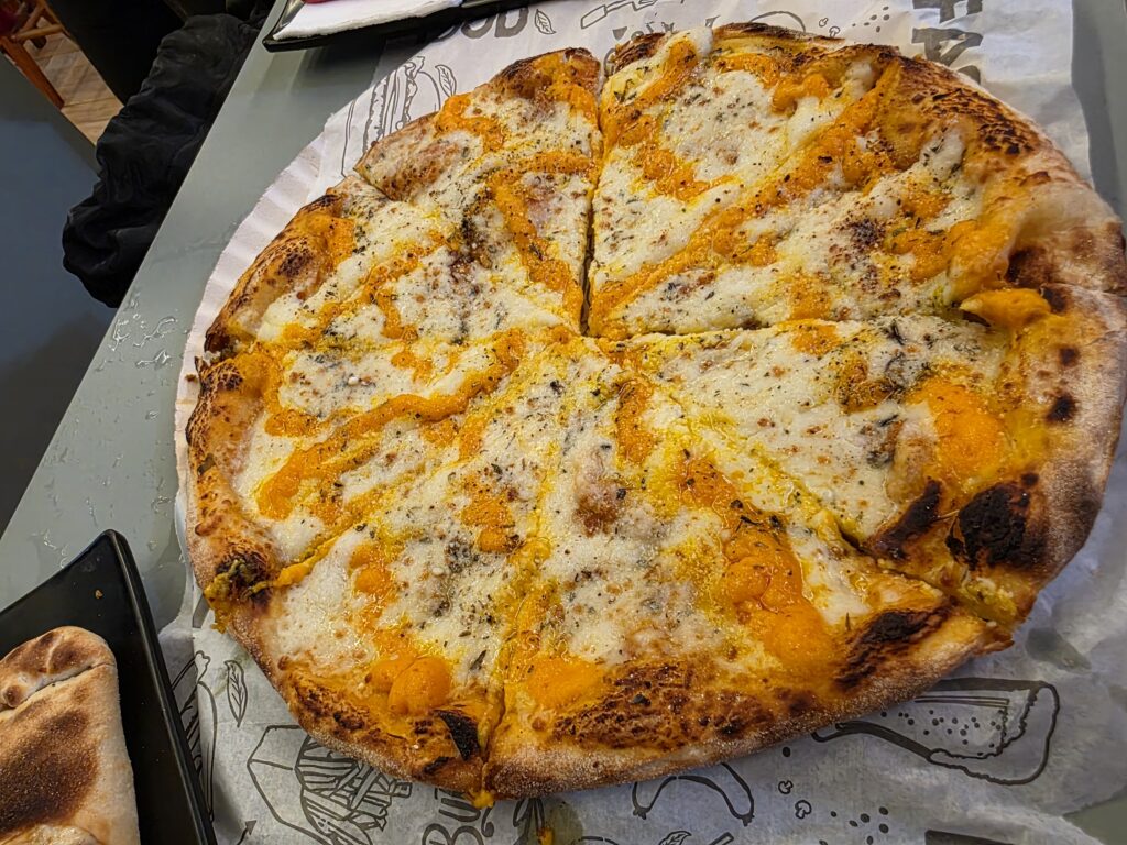 17.02.2026 Brasil (32)