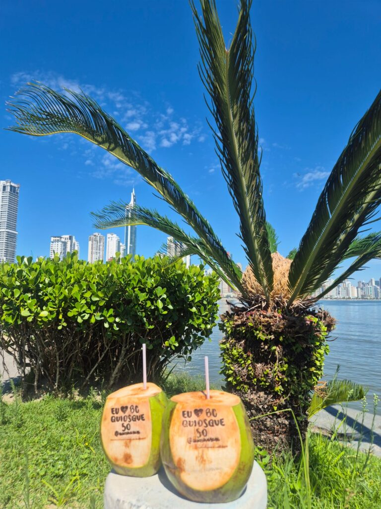 17.02.2026 Brasil (34)