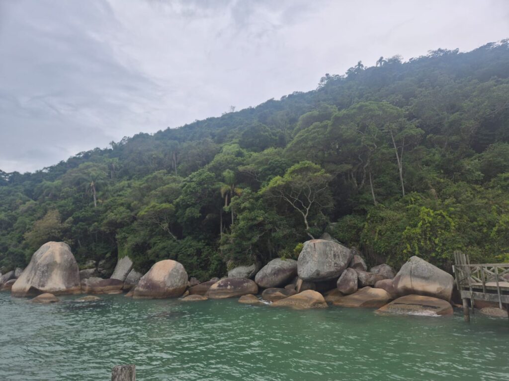 17.02.2026 Brasil (63)