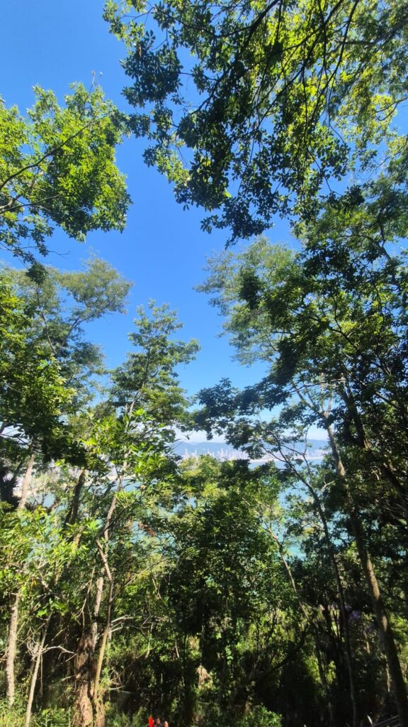 17.02.2026 Brasil (72)