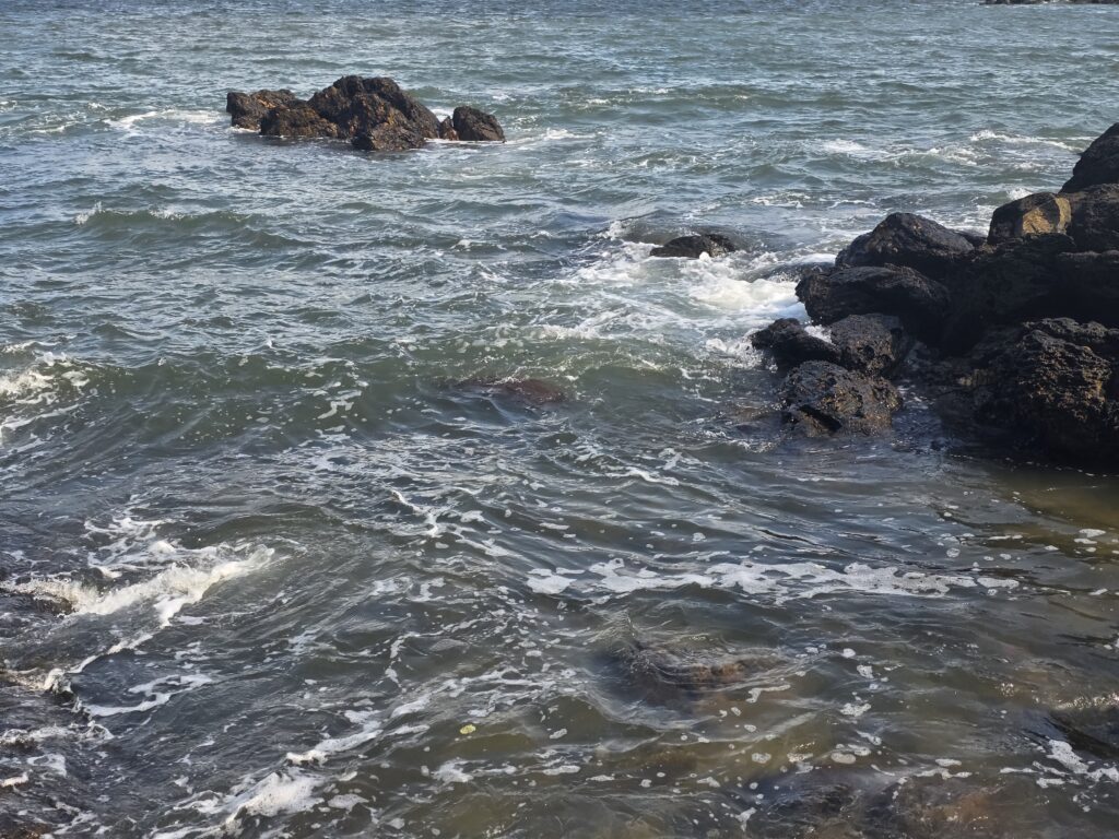 18.02.2026 Brasil (24)