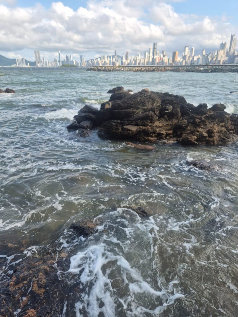 18.02.2026 Brasil (31)