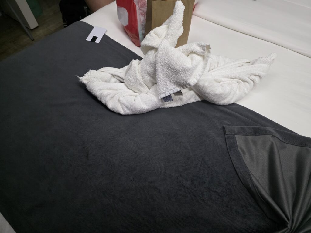 19.02.2026 Brasil (102)