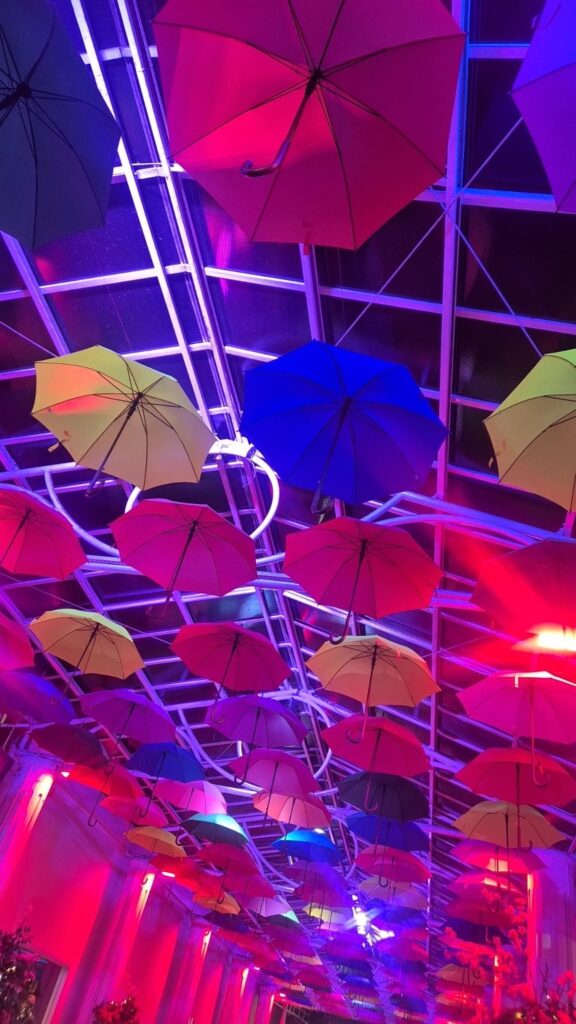 19.02.2026 Brasil (119)