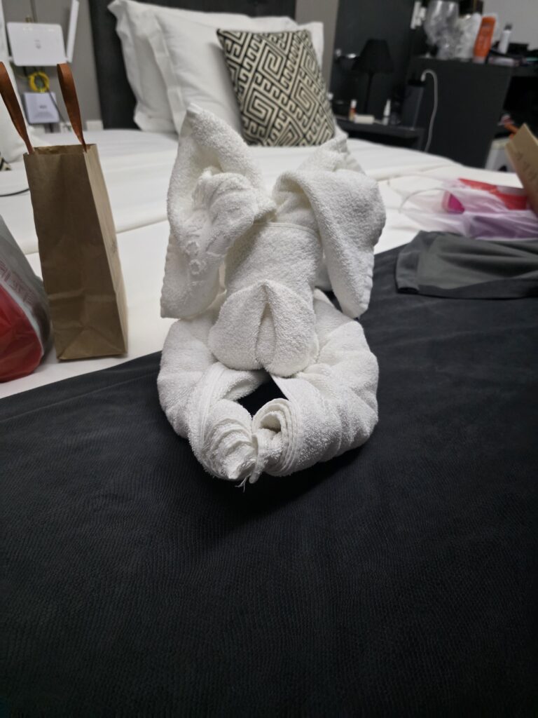 19.02.2026 Brasil (12)