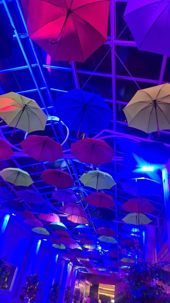 19.02.2026 Brasil (120)