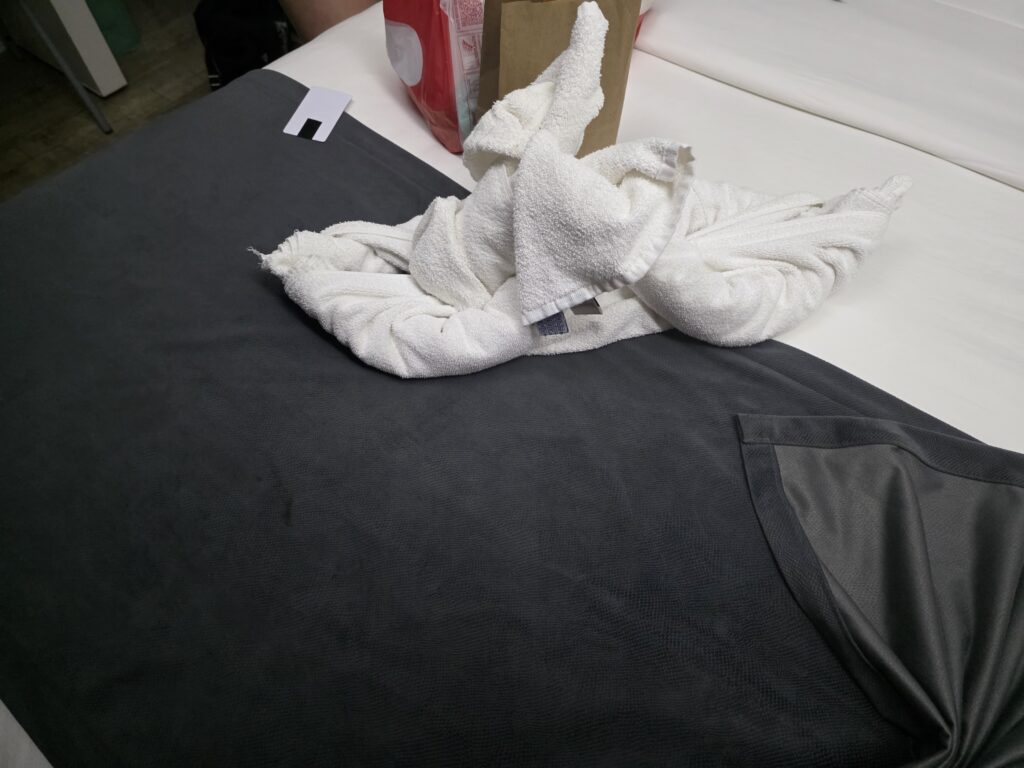 19.02.2026 Brasil (13)