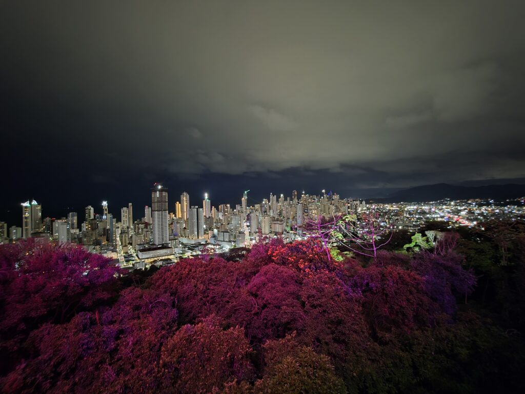 19.02.2026 Brasil (38)