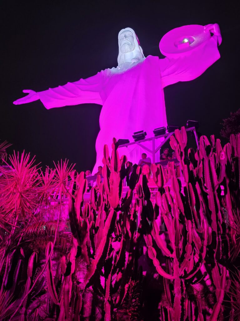 19.02.2026 Brasil (55)