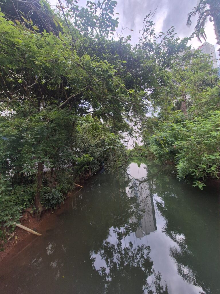 20.02.2026 Brasil (25)