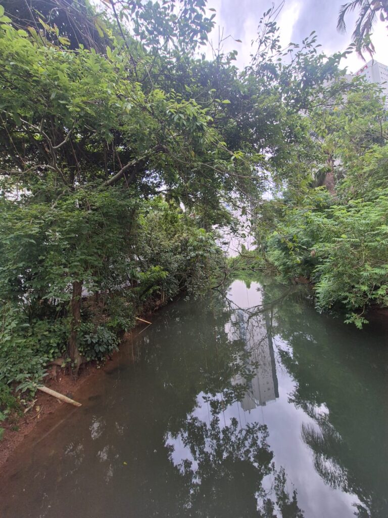 20.02.2026 Brasil (26)