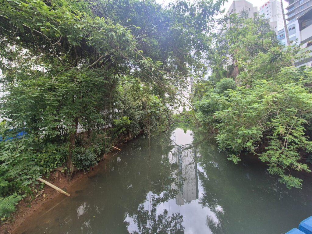 20.02.2026 Brasil (27)