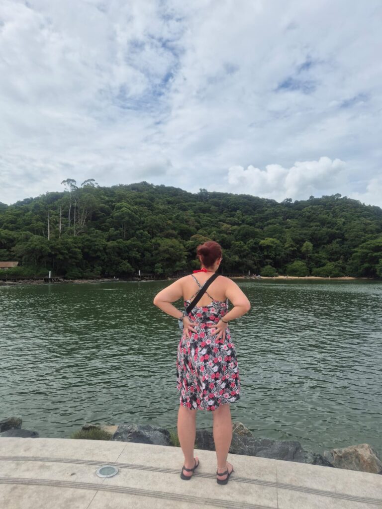 20.02.2026 Brasil (29)