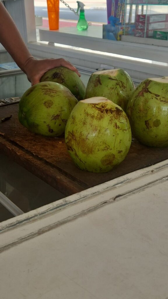 20.02.2026 Brasil (32)