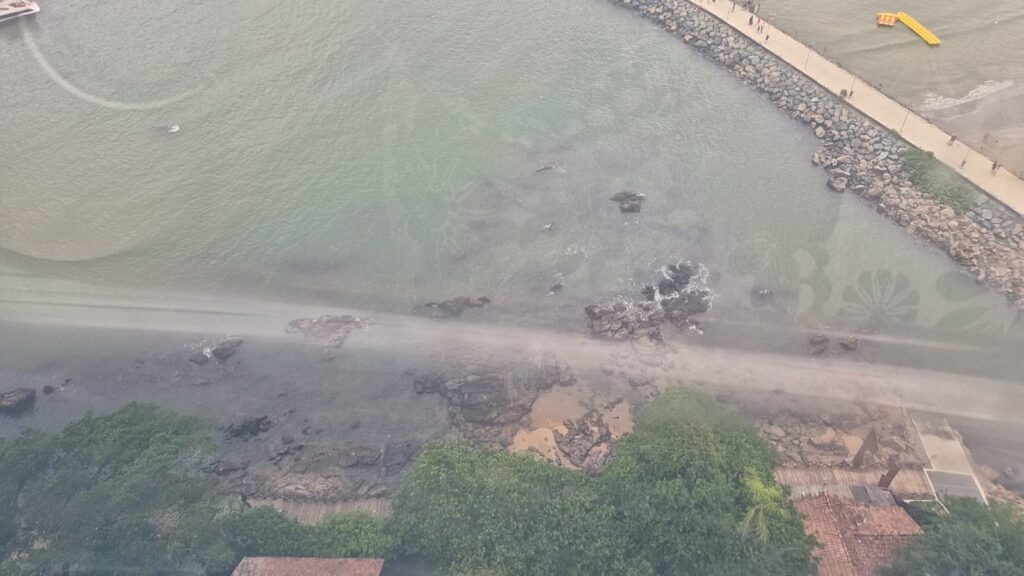 20.02.2026 Brasil (61)