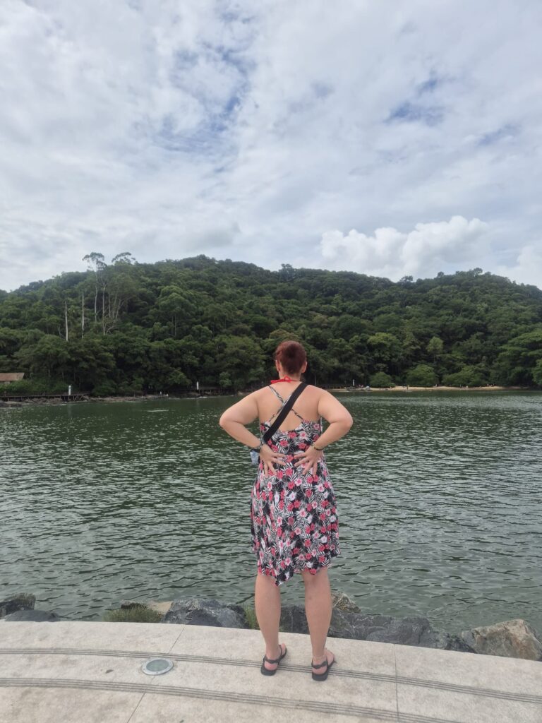 20.02.2026 Brasil (80)