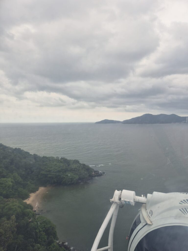 20.02.2026 Brasil (86)