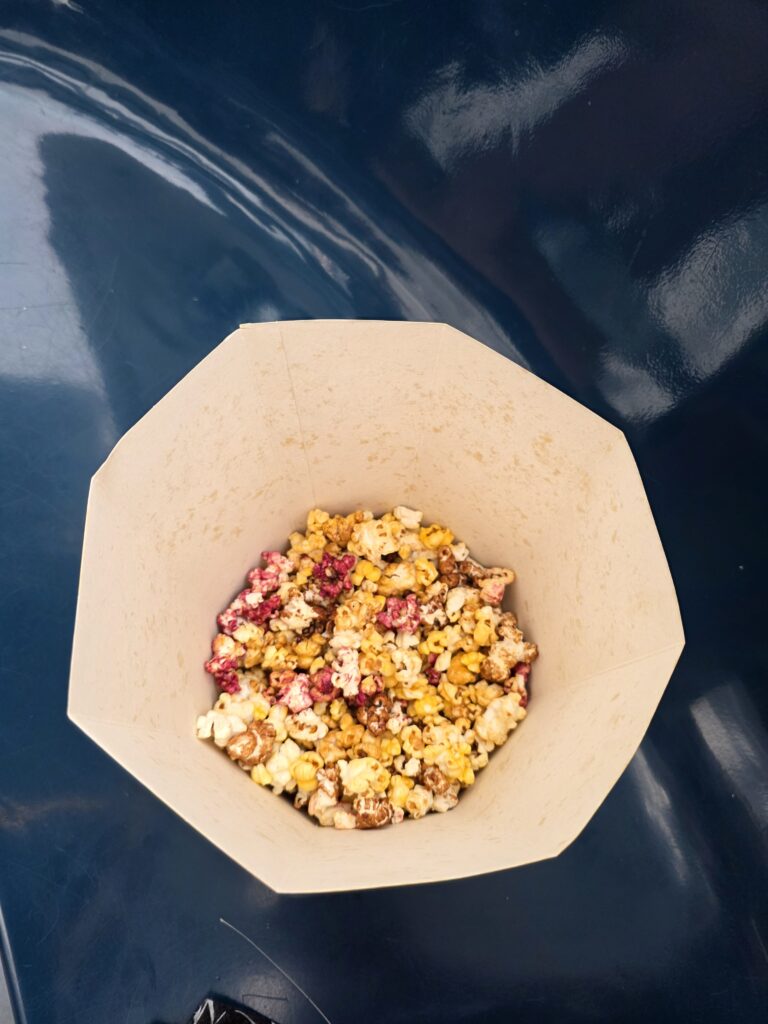 20.02.2026 Brasil (9)